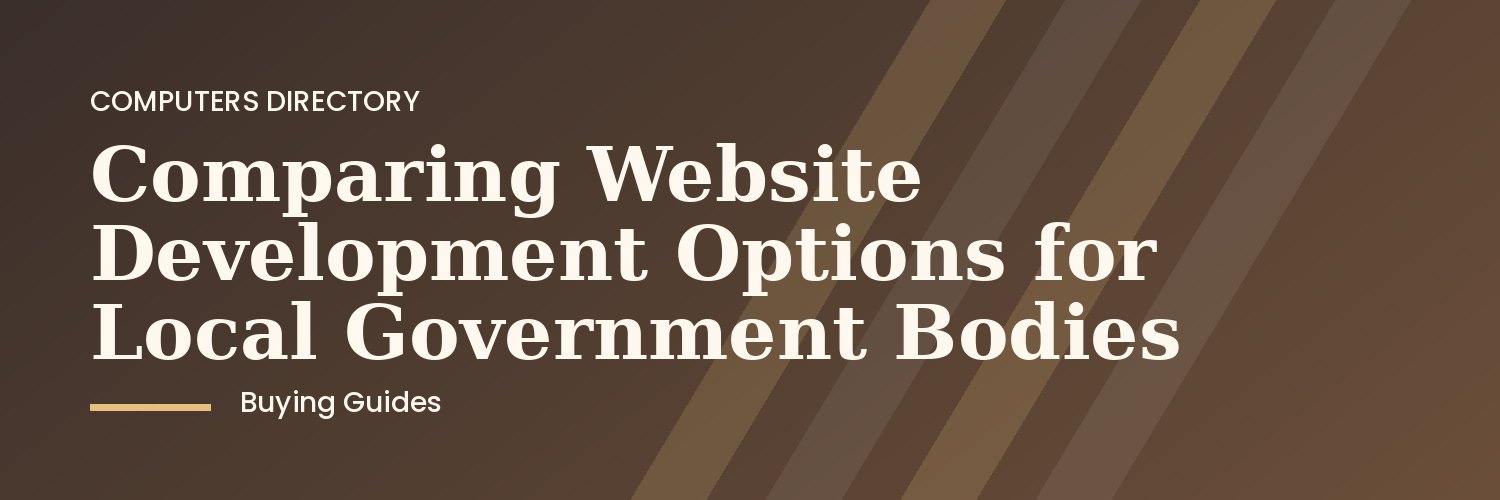 Local government team reviewing website development options